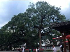 -新安江山水画廊风景区