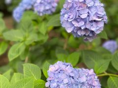 -常州古运河南大街文化旅游区-人民公园