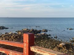 -养马岛旅游度假区