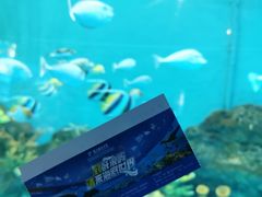 -厦门海底世界