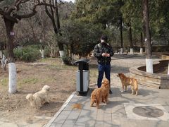 -北京鹫峰国家森林公园