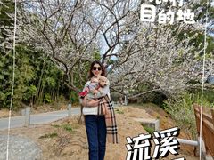 -广州市流溪河国家森林公园