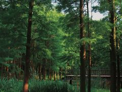 -宝界山林公园