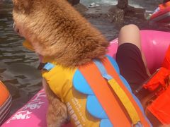 -安吉龙王山峡谷漂流