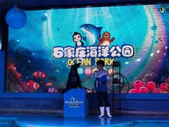 -石家庄海洋公园