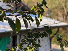 -杭州上天竺法喜讲寺