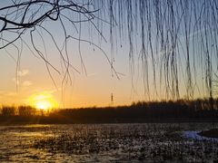 -东郊湿地公园