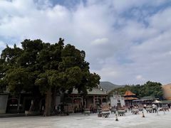 -悦城龙母祖庙