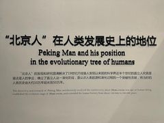 -北京周口店北京人遗址博物馆