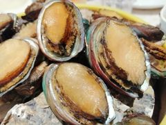 白灼鲍鱼-威海蓝海御华大饭店·蓝钻美食自助百汇