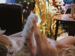 -咖法森林·咖啡  酒吧(天河店)