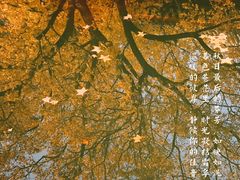 -香山公园