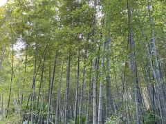 -南山风景名胜区