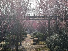 -雨花胜境