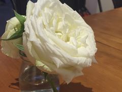 -PETIT PARIS 小巴黎(花园道店)