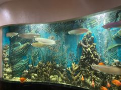 -红莲中餐厅(日航饭店)