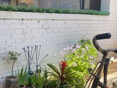 -老绥元烧麦·家常菜(桥华店)