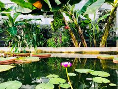 -国家植物园南园