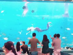 -瑞德姆美人鱼海底演艺主题餐厅(亚龙湾店)