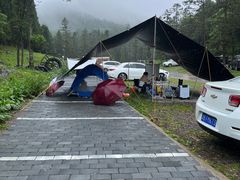 -武陵山森林公园