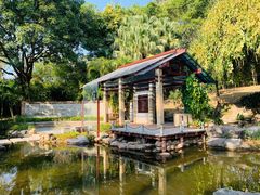 -深圳国际园林花卉博览园