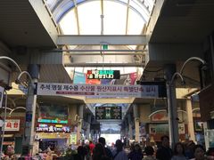 -西归浦每天偶来市场