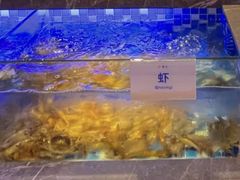 鲜活大虾-奢谷·海鲜自助(南海万科店)