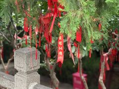 -烟台山景区