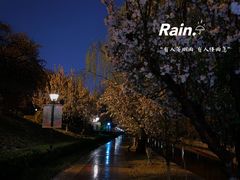 -元大都城垣遗址公园