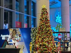 -上海浦东康桥绿地假日酒店