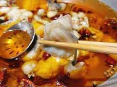 蜀龙阁水煮鱼-雲蜀龙阁·金牌水煮鱼(方庄店)