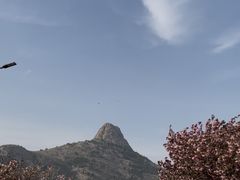 -威海大乳山景区