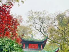 -岳麓山风景名胜区