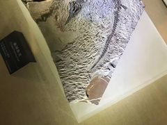 -安徽省地质博物馆