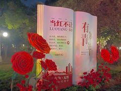 -西苑公园