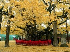 -浮来山风景区