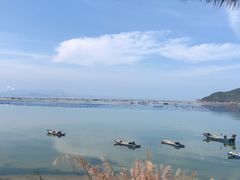 -南澳岛打卡果汁冰公司