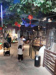 -酷嗒动物文化乐园(cutezoo西溪乐天城店)