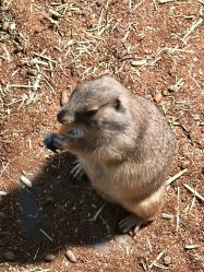 -Zoolung Zoolung动物主题公园(海信广场店)