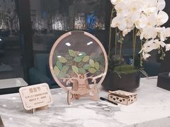 -瑞尔齿科(颐堤港诊所)