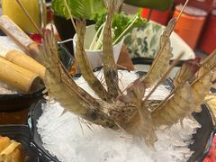 -捞围鲜·港式打边炉(海阳路店)
