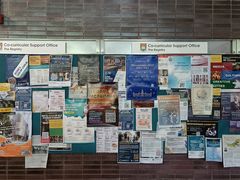 -香港大学