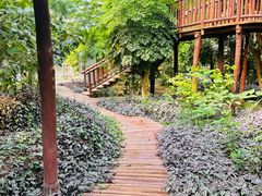 -呀路古热带植物园