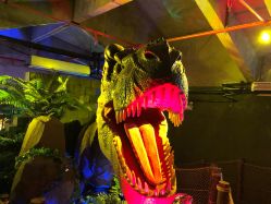 -恐龙探索乐园(磁器口店)