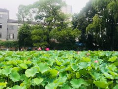 -四川大学(望江校区)