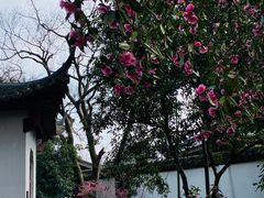 -西泠印社