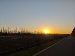 -上海长兴岛郊野公园