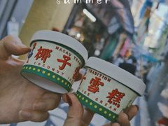 -洪馨椰子