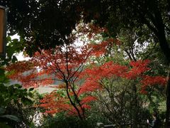 -重庆工商大学(南岸校区)