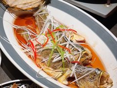 -前海沿·青岛菜(大拇指广场石老人店)